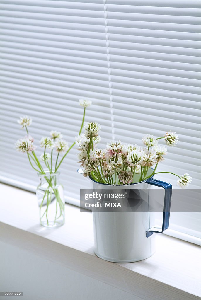 Chinese milk vetch in vase and jug