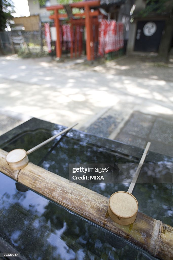 Purifying water in Akagi Shrine, Tokyo, Honshu, Japan