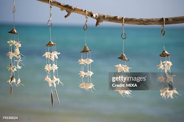 54 Shell Wind Chimes Stock Photos, High-Res Pictures, and Images ...