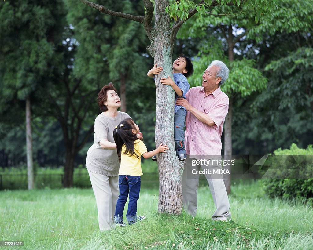 A boy tying to climb up a tree