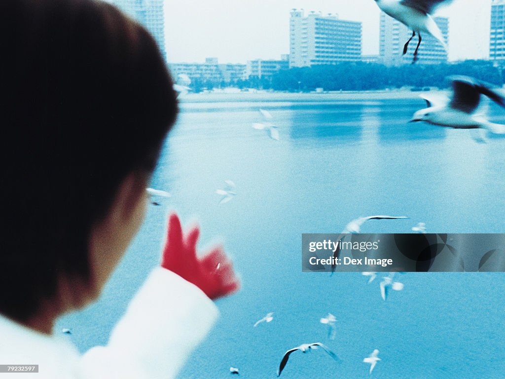 Young woman with city in background, seagulls flying