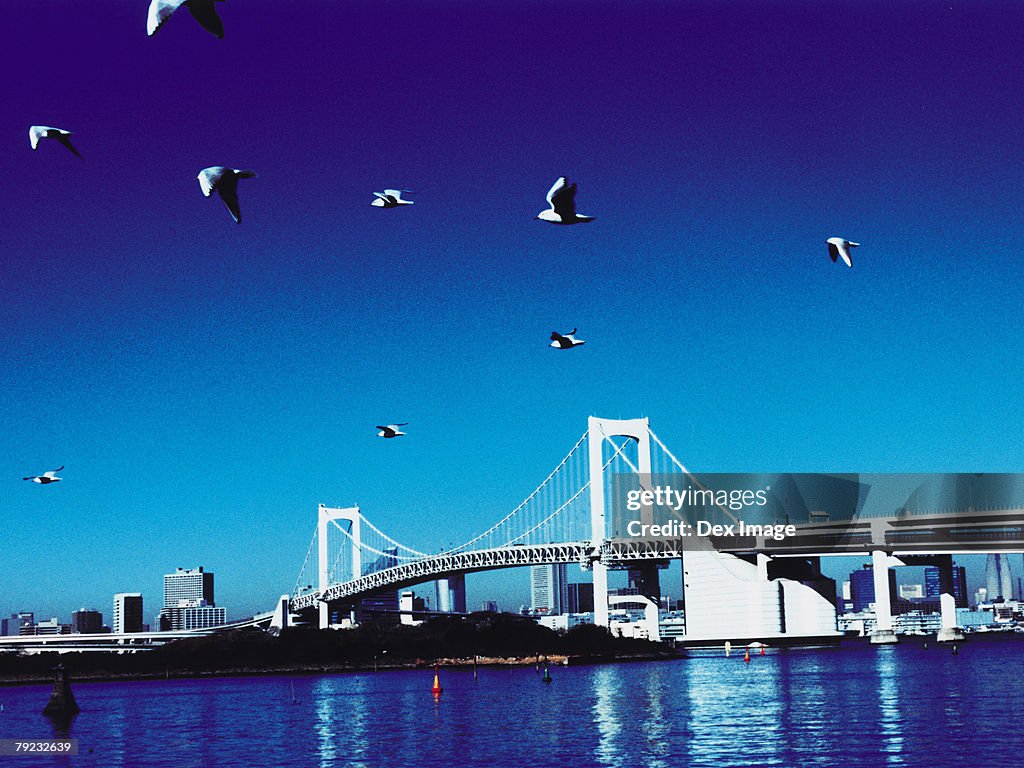 Tokyo Bay, Rainbow Bridge, Tokyo