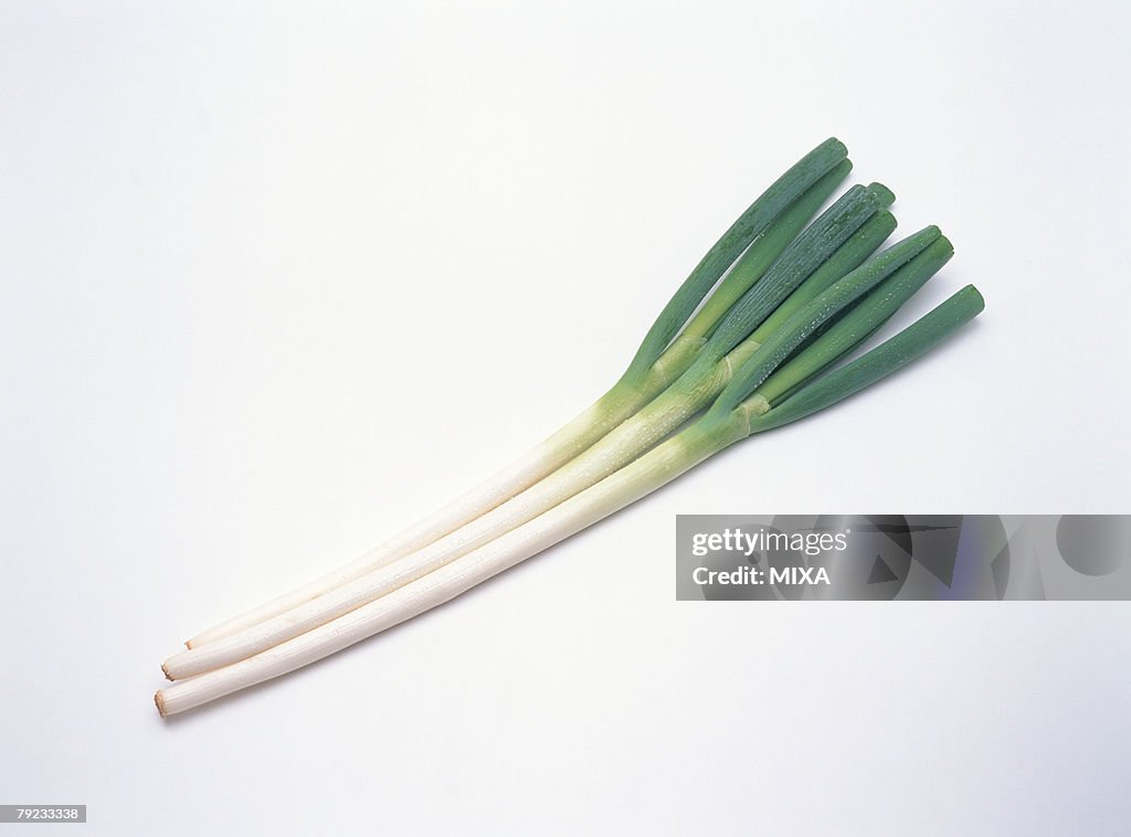 Green onion