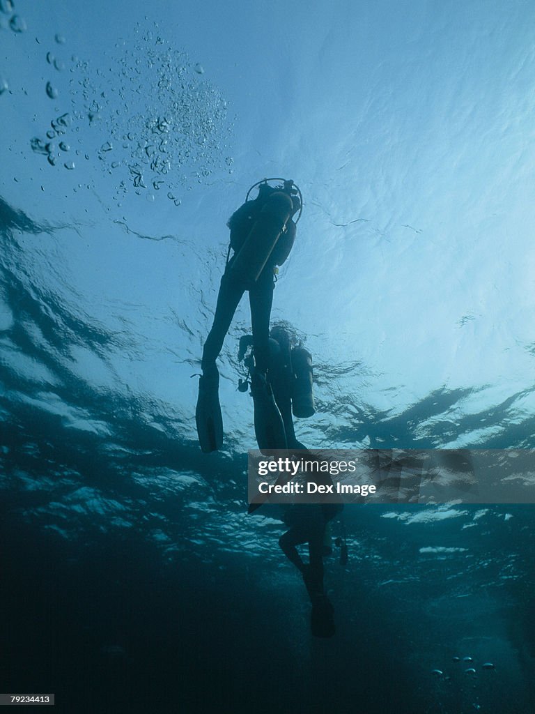 Scuba diver rising to surface, underwater view