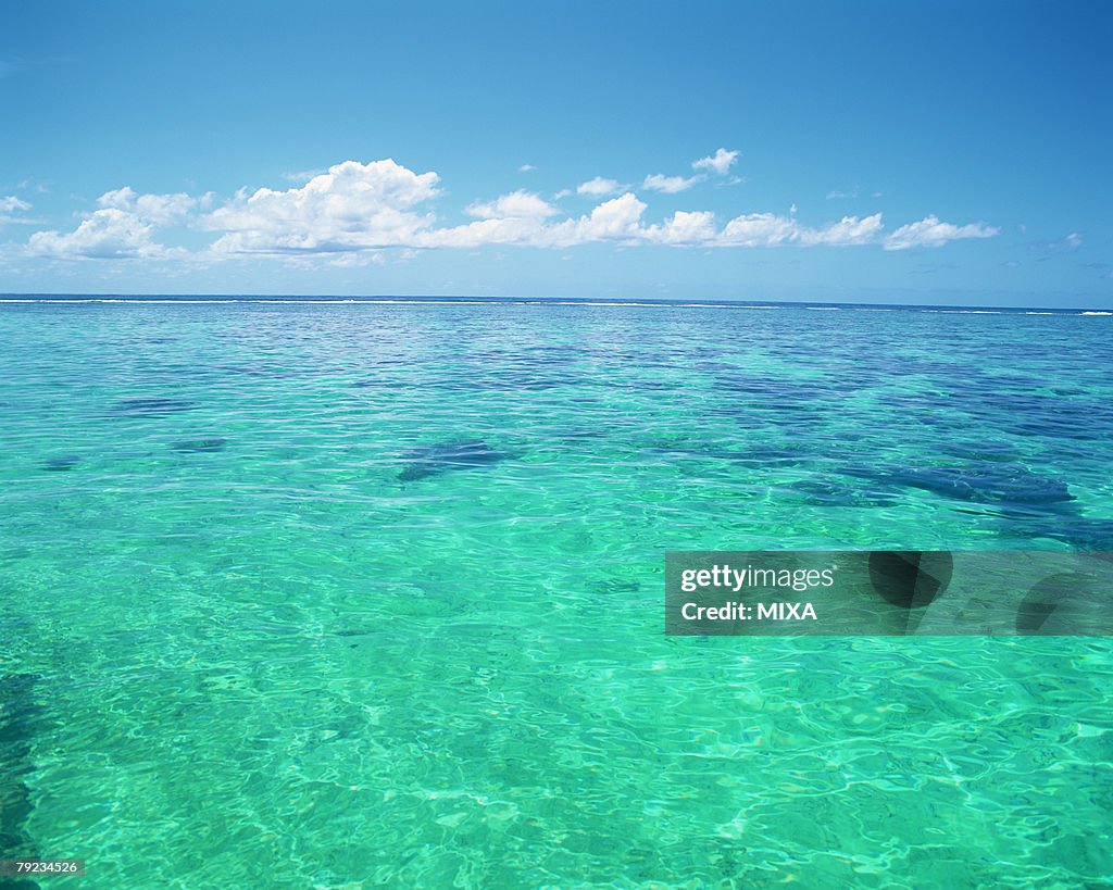 Placid seascape in Tahiti