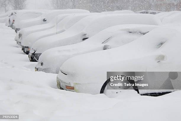 cars buried in snow - nieve profunda fotografías e imágenes de stock