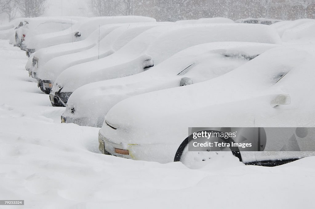 Cars buried in snow