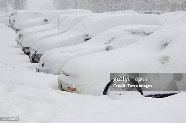 cars buried in snow - neve profunda imagens e fotografias de stock