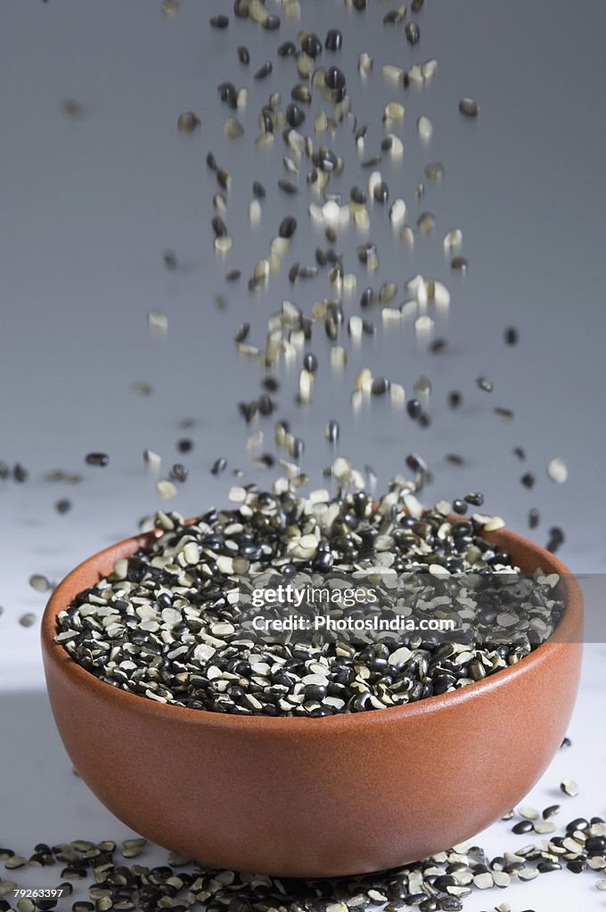 Close-up of Split Black grams falling down into a bowl