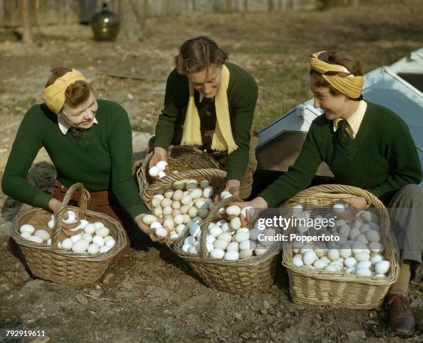 View of three Land Girls, members of the Women's Land Army, examining baskets of fresh eggs at Redlands breeding poultry farm in South Holmwood,...