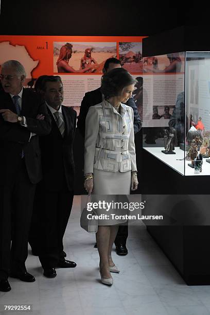 Queen Sophia of Spain visits the Africa House with representatives of the Government of Gran Canaria on January 28, 2008 in Las Palmas, Spain.