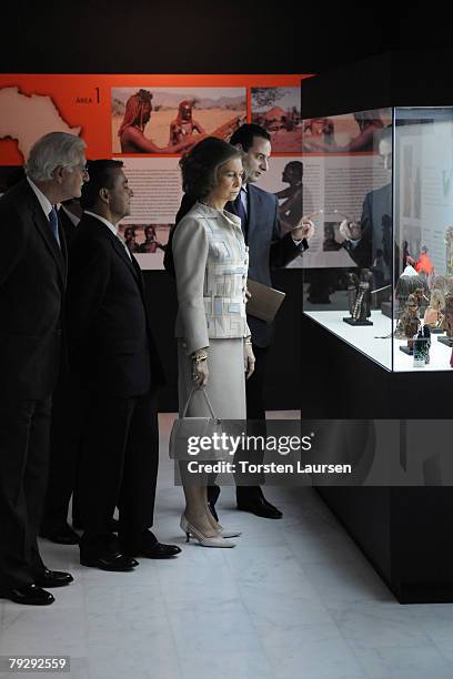 Queen Sophia of Spain visits the Africa House with representatives of the Government of Gran Canaria on January 28, 2008 in Las Palmas, Spain.