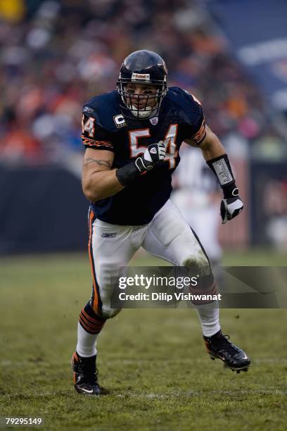 Brian Urlacher of the Chicago Bears defends against the New Orleans Saints on December 30, 2007 at Soldier Field in Chicago, Illinois. The Bears beat...