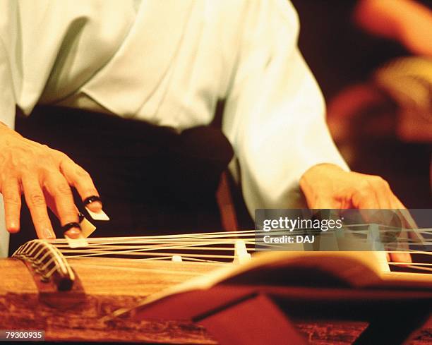 woman playing japanese harp, low angle view, differential focus - koto harp bildbanksfoton och bilder