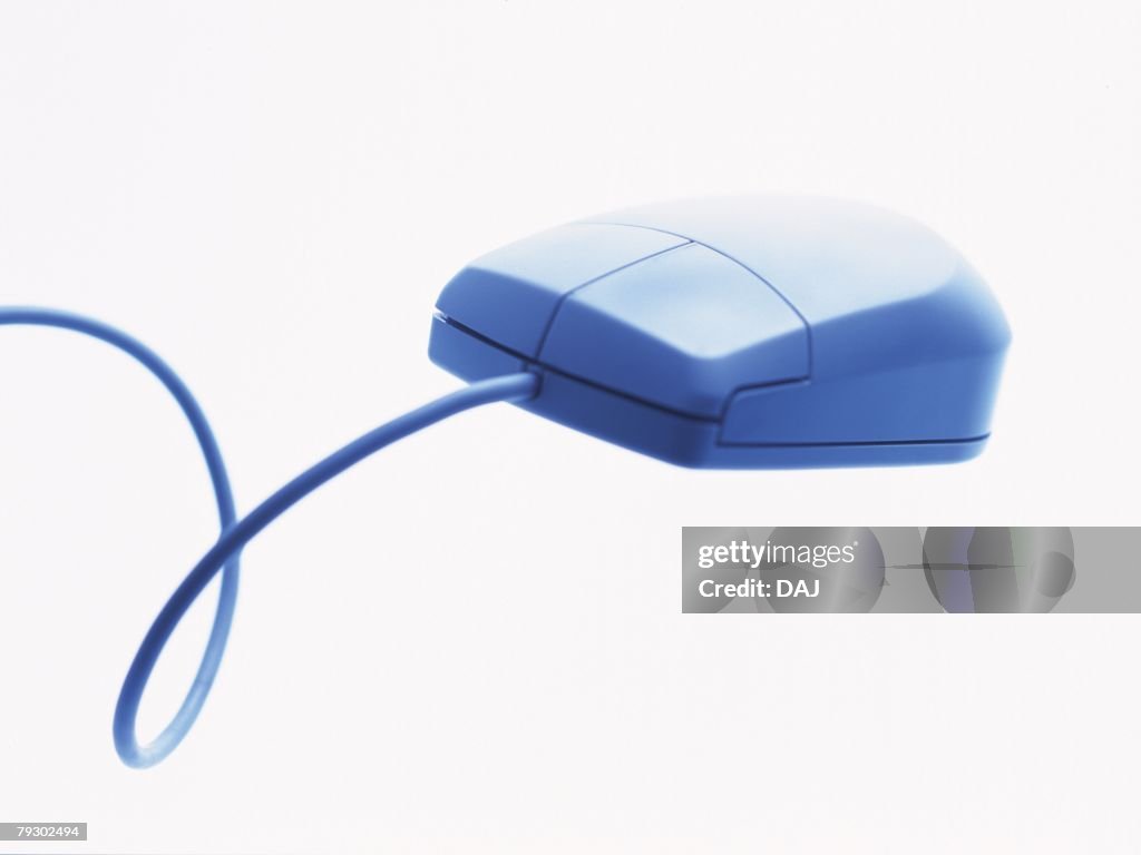 Mouse, Side View