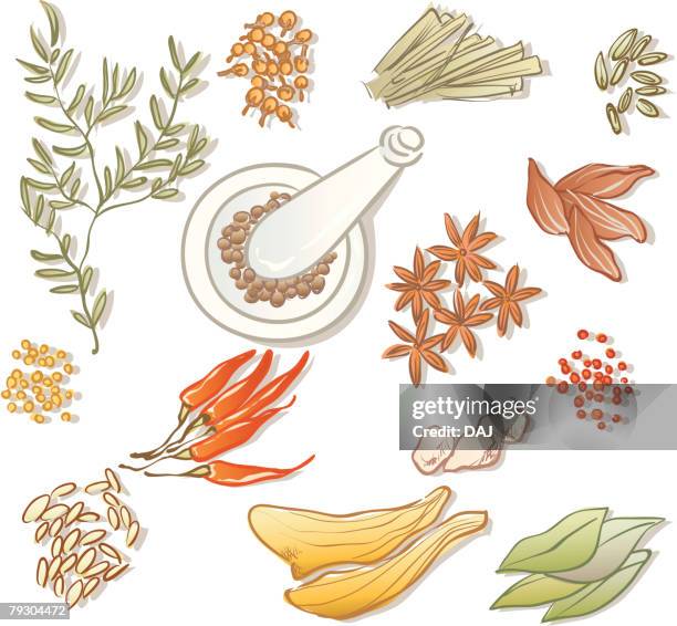 variety types of spices, high angle view - bay leaf white background stock illustrations
