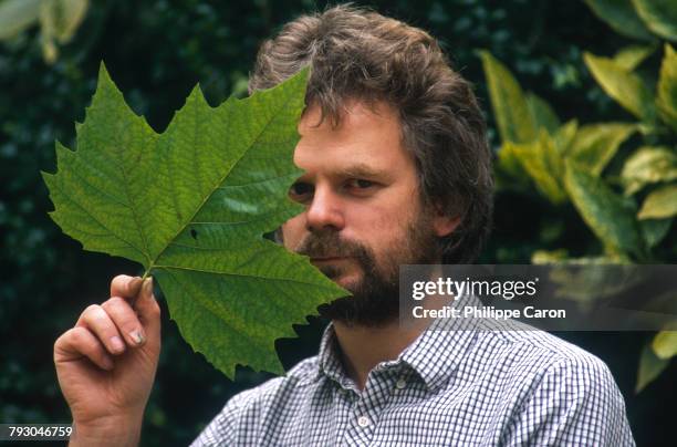 British artist, Andy Goldsworthy, works exclusively with natural elements, such as this platane leaf, when creating his ephemeral sculptures.