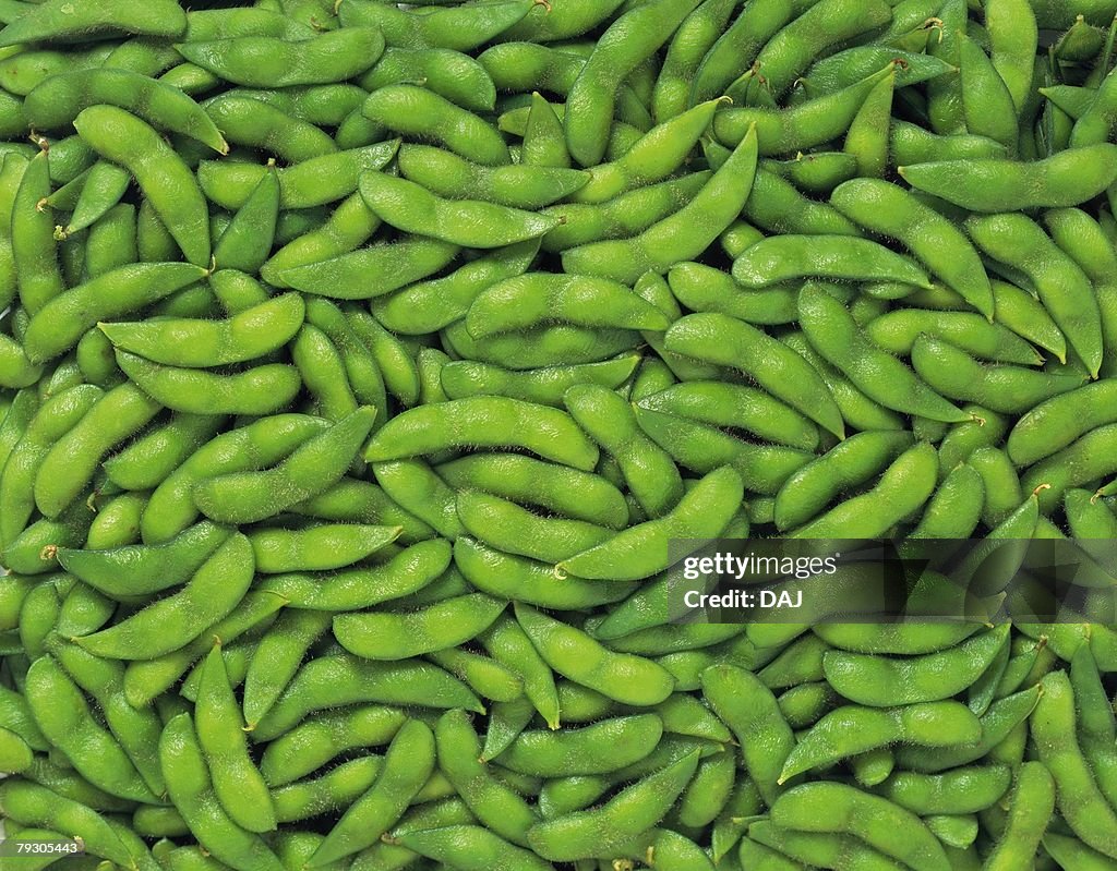 Green Japanese Soya Beans, Full Frame, high angle view