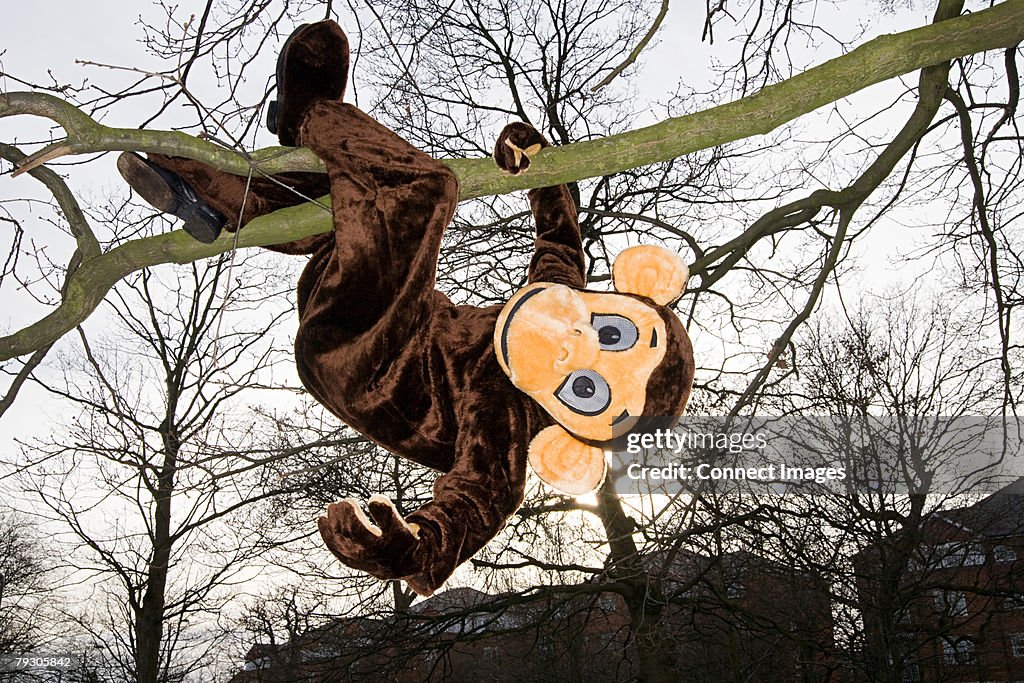Person in monkey costume hanging from tree