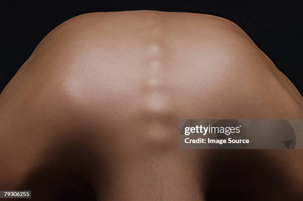 back of a woman - bend over woman stock pictures, royalty-free photos & images