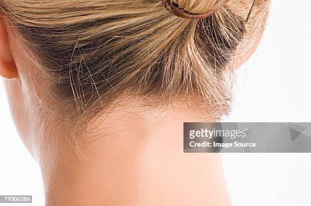 neck of a woman - blonde hair rear white background stock pictures, royalty-free photos & images