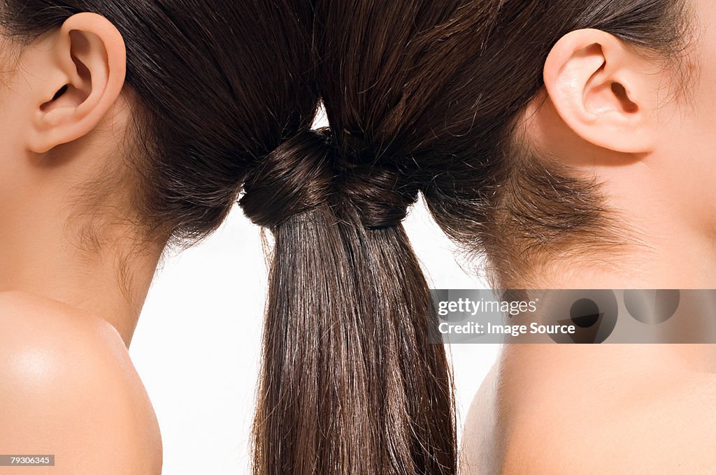 Women with brunette ponytails