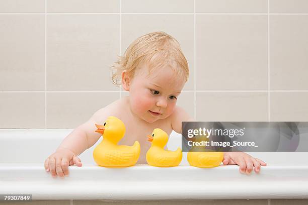 un bebé niño mirando en una fila de caucho ducks - pato de juguete fotografías e imágenes de stock