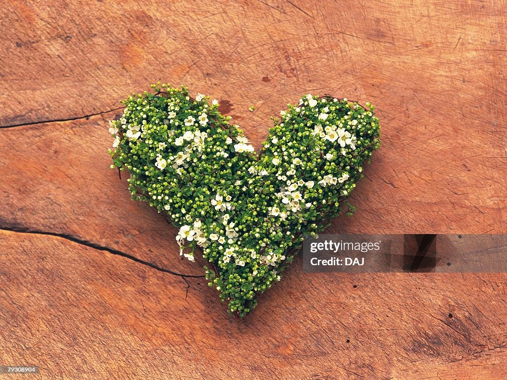 Heart shaped flower wreath on rock, high angle view
