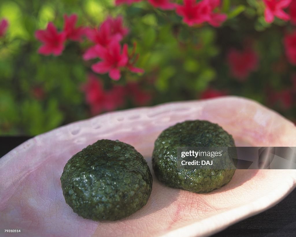 Wagashi called Yomogimochi, Japanese sweets on plate, flower visible in background, Differential Focus