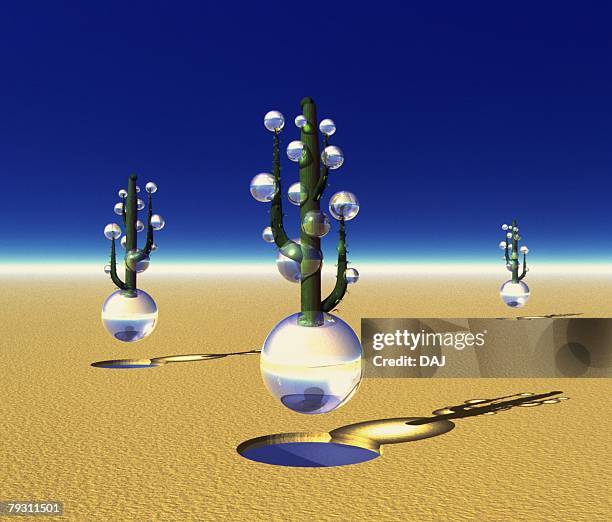 cacti (cactus on water ball) in desert, front view, composite - waterball stock pictures, royalty-free photos & images