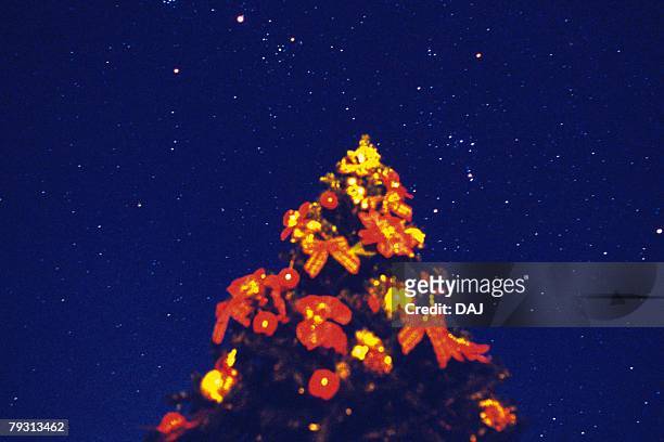illuminated christmas tree under starry sky, low angle view - tree under blue sky stockfoto's en -beelden
