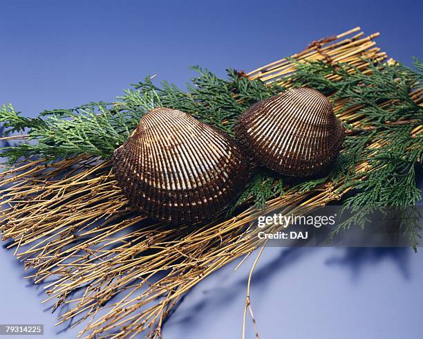 Arching Shell 361 Triple Arch Stock Photos, High-Res Pictures, and Images - Getty Images