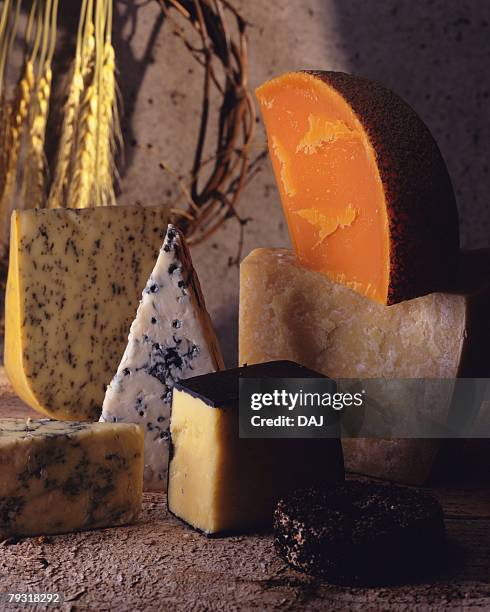 variety of cheese, high angle view - mimolette stock-fotos und bilder