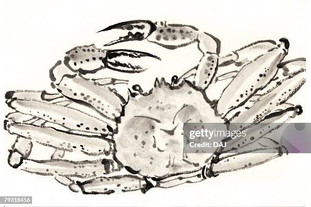 snow crab, ink brush painting - snow crab stock illustrations