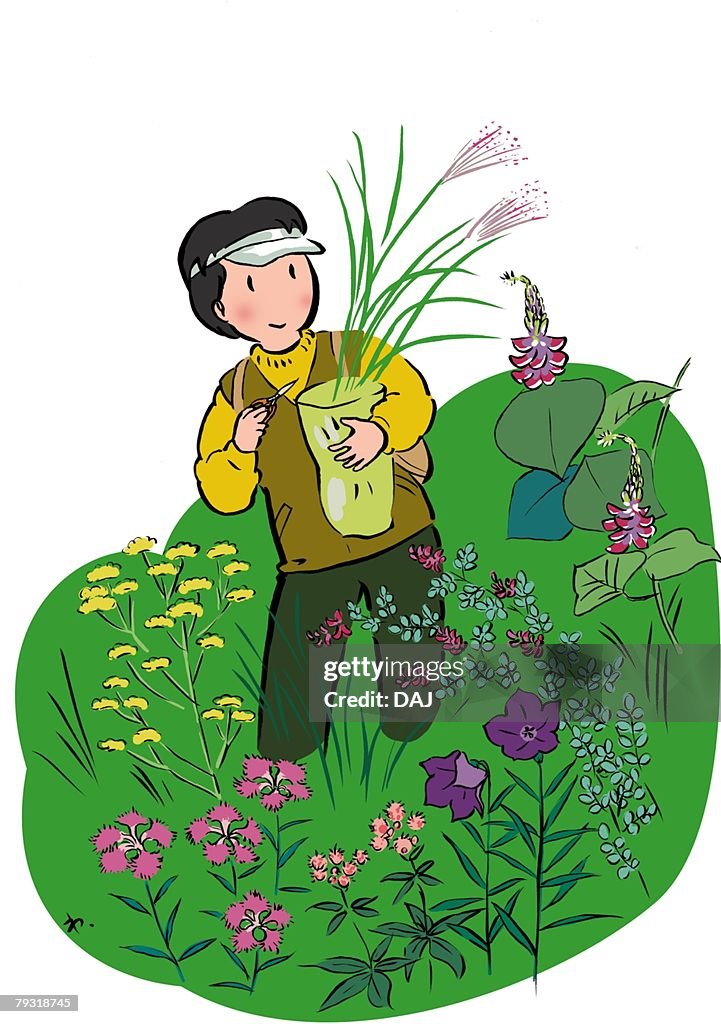 Mature Adult Woman Gathering Seven Autumn Flowers, High Angle View