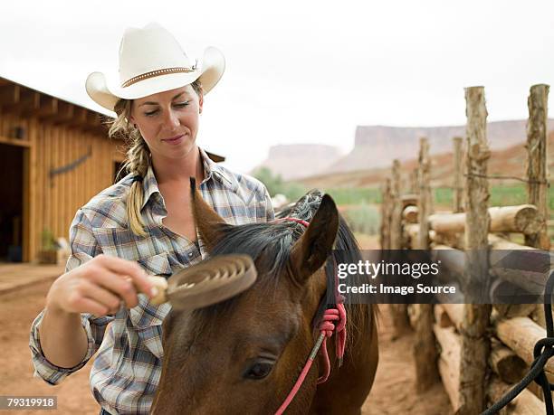 frau zähne horse - mähne stock-fotos und bilder
