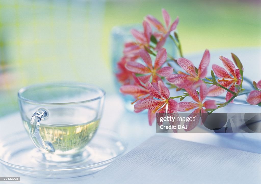 Flowers and Cup of Tea on Table, Close Up, Differential Focus, In Focus, Out Focus