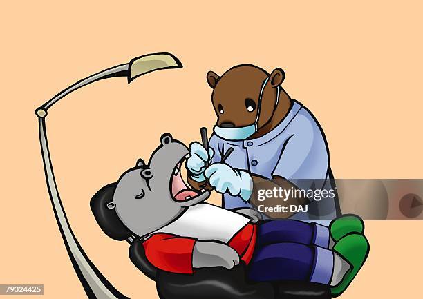 bear dentist examining hippopotamus, front view, side view, pink background - bear face mask stock illustrations