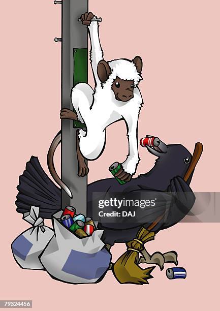 monkey and crow cleaning together, front view, side view, pink background - monkey hanging stock illustrations