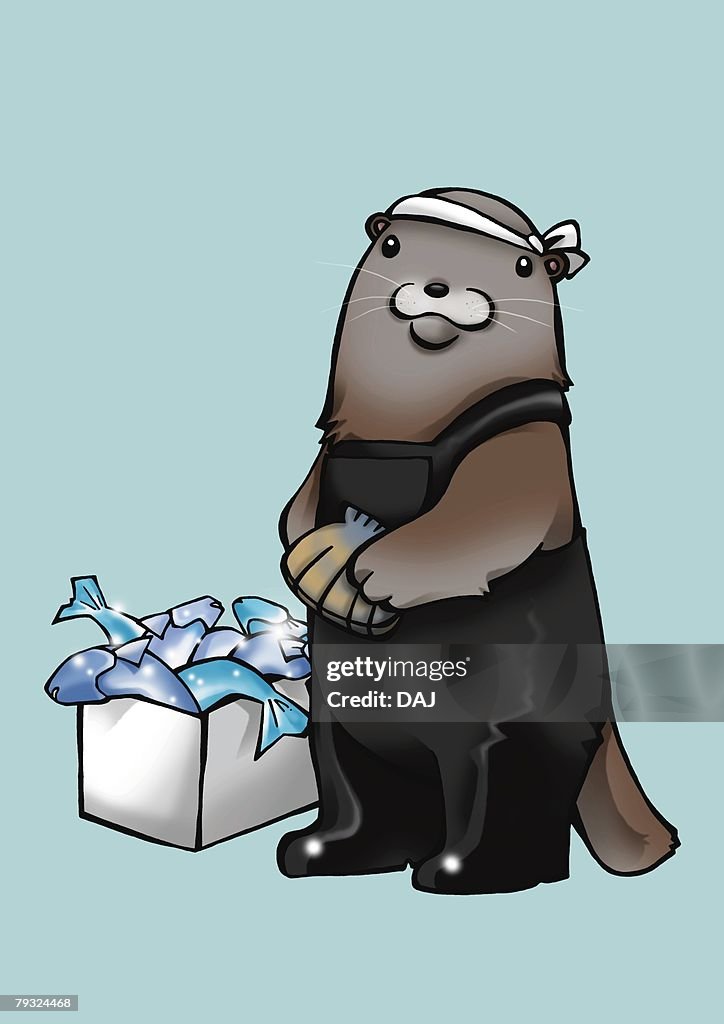 Sea otter holding clams and standing beside box filled with fishes, front view, blue background