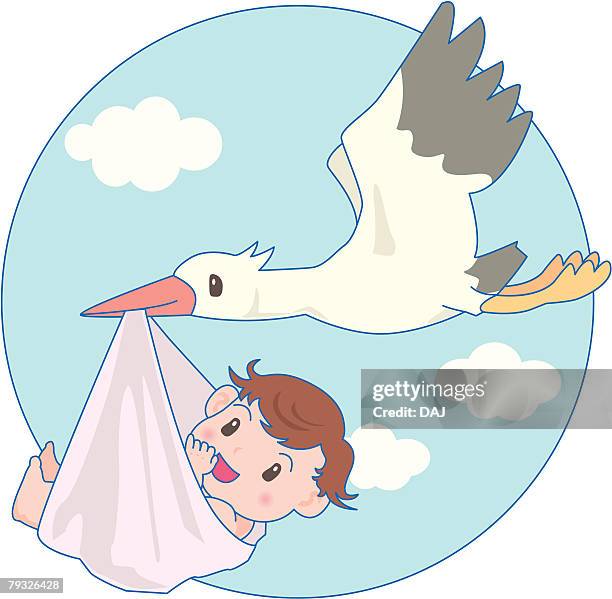 Stork Carrying Baby, Foto de stock