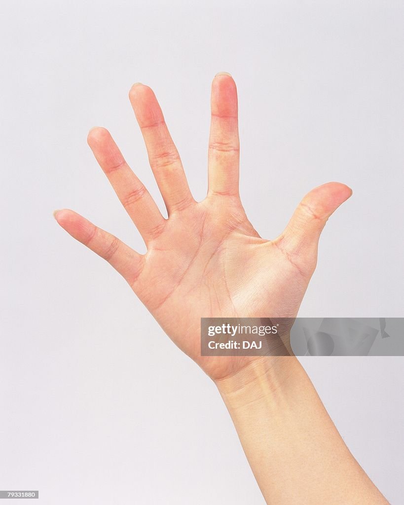 Image Of Right Open Hand Front View High-Res Stock Photo - Getty Images