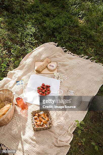 a picnic - picnic blanket stockfoto's en -beelden