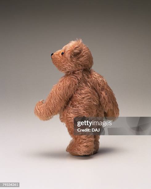 closed up image of a little fluffy teddy bear, standing, rear view - テディベア　無人 ストックフォトと画像