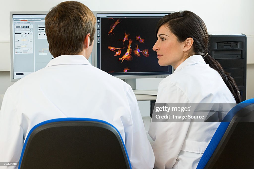 Scientists working on a computer