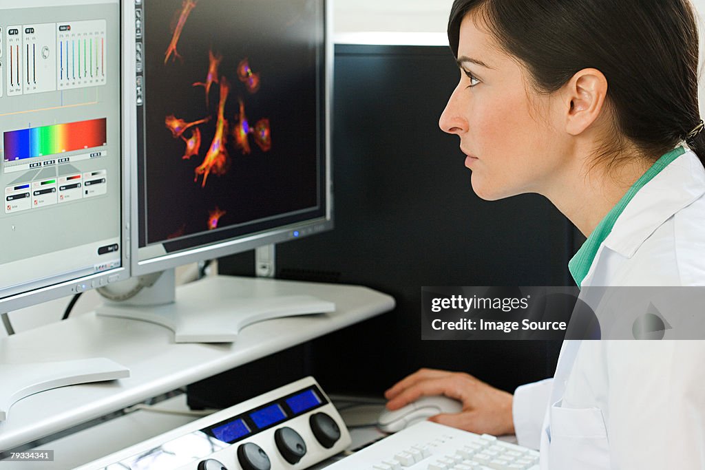 A scientist using a computer