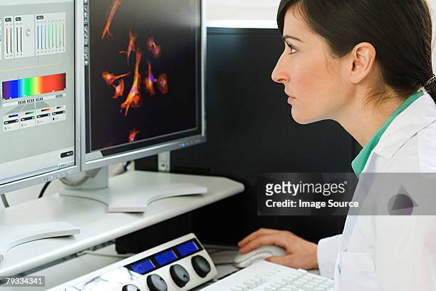 a scientist using a computer - person screened for cancer stock pictures, royalty-free photos & images