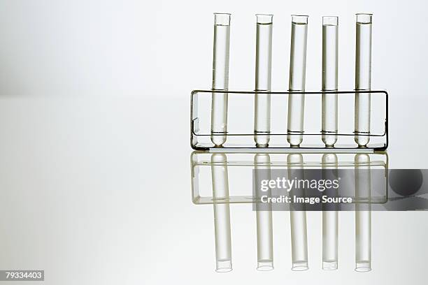 test tubes in a holder - test tube rack stock pictures, royalty-free photos & images