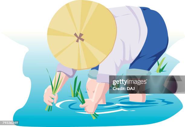 Man Planting Rice Vector Ilustraciones, imágenes clip art, dibujos animados e iconos de stock de ...