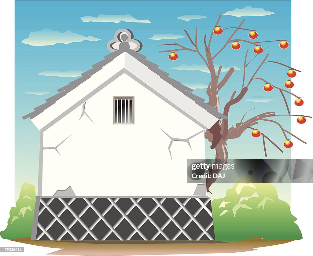 Warehouse and persimmon tree